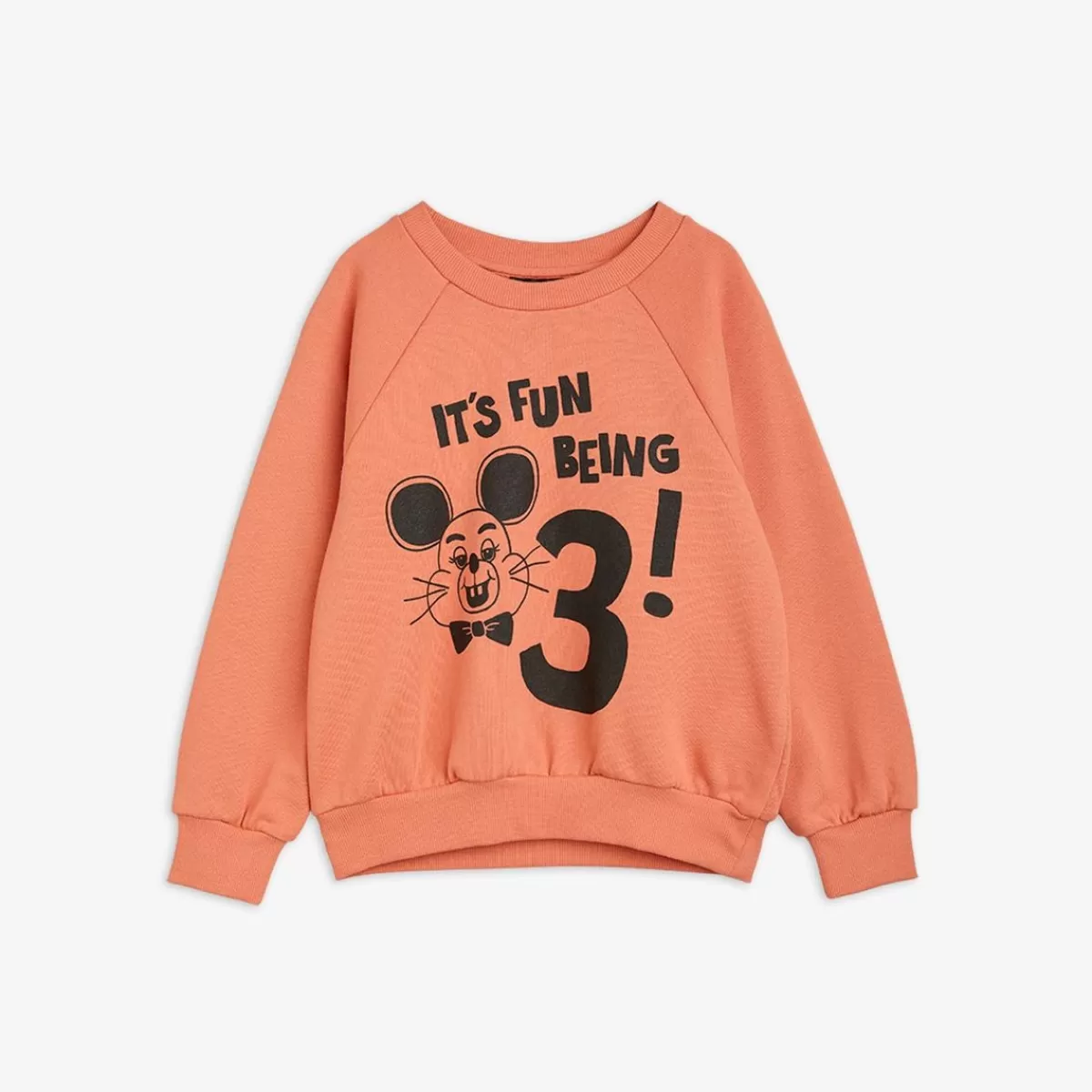 Best Mini Rodini It's Fun Being Three Sweatshirt